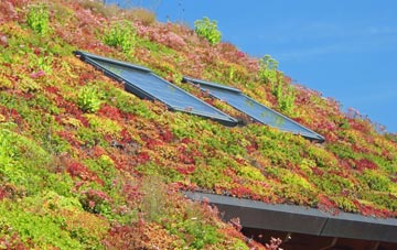 Corse Lawn living roof systems