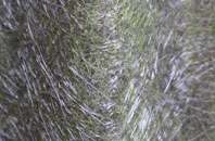 Corse Lawn fibreglass roof work